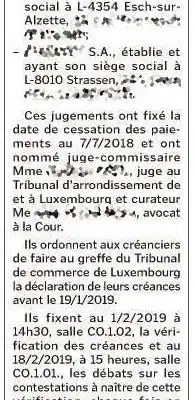 Études de cas sur la faillite des entreprises