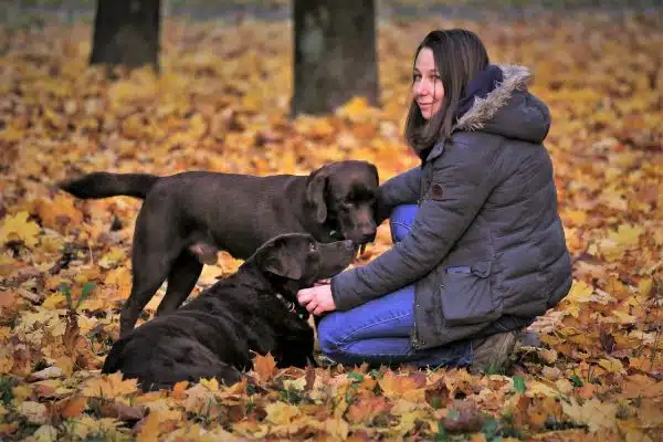 Quelle formation pour devenir un Educateur Canin Comportementaliste ?