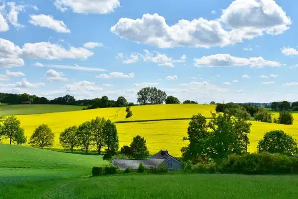 Un site est à votre disposition pour vos besoins en matériel agricole