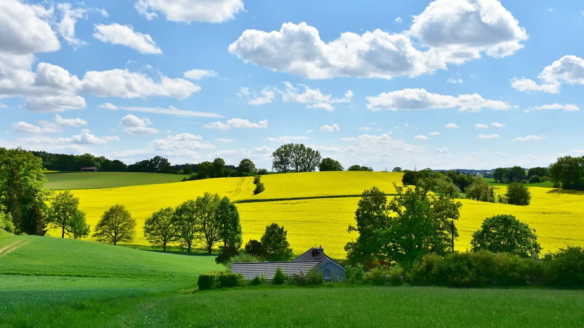 Un site est à votre disposition pour vos besoins en matériel agricole